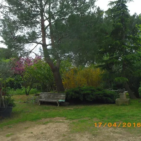 L'oasis