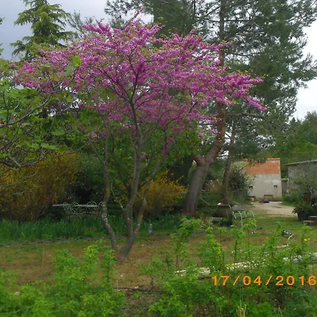 L'oasis Les Angles (Gard)